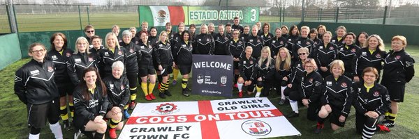 CrawleyCOGs Profile Banner