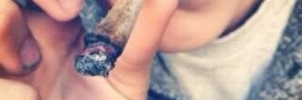 bbvccvgvvvbbb's profile banner image