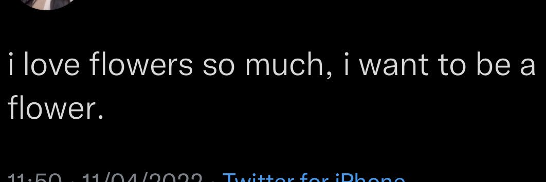 Mldnxo_'s profile banner image