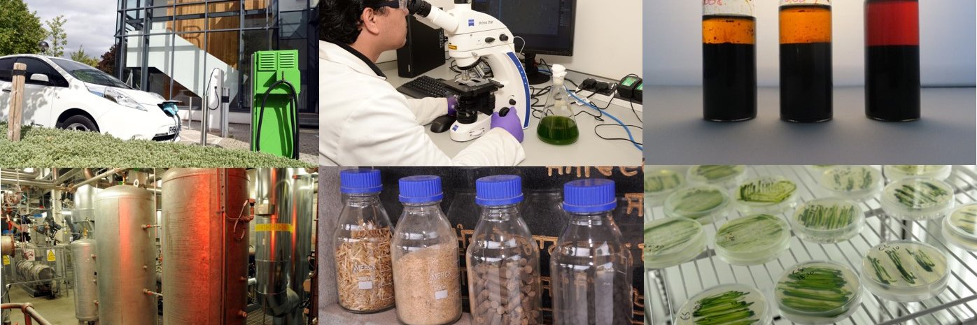 EBRI - Energy & Bioproducts Research Institute banner