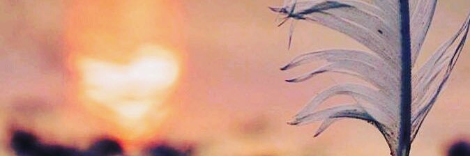 ابو عبدالعزيز banner
