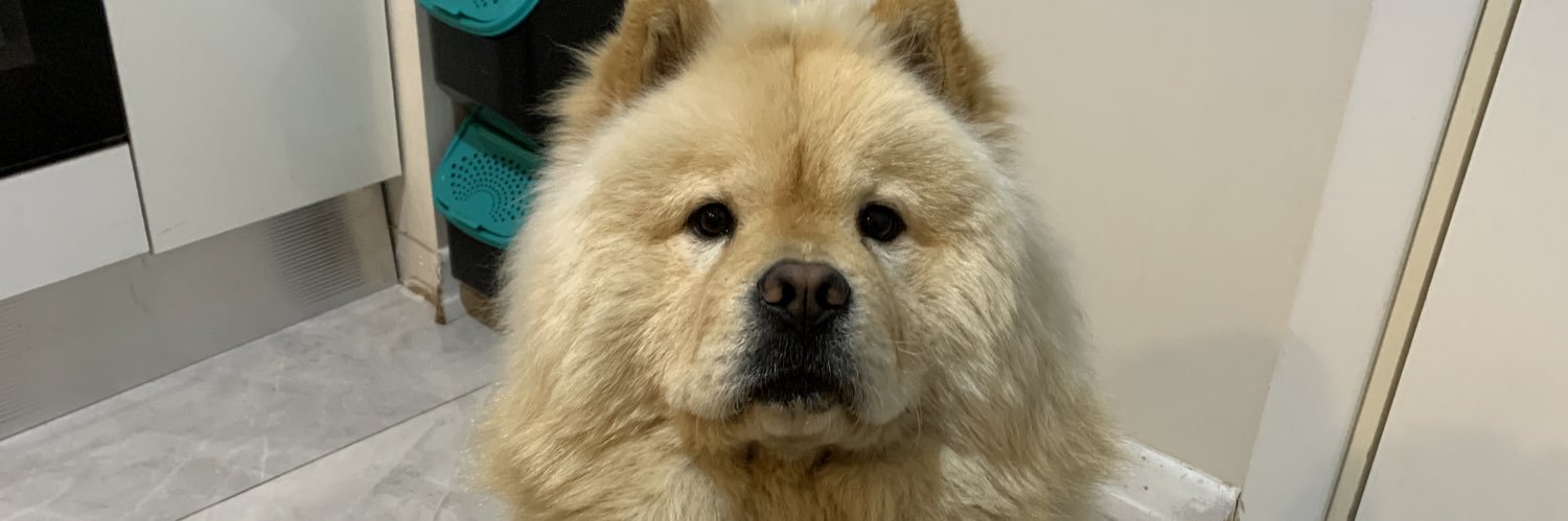 delencic's profile banner image