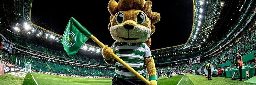 beatriz_laranjo's profile banner image
