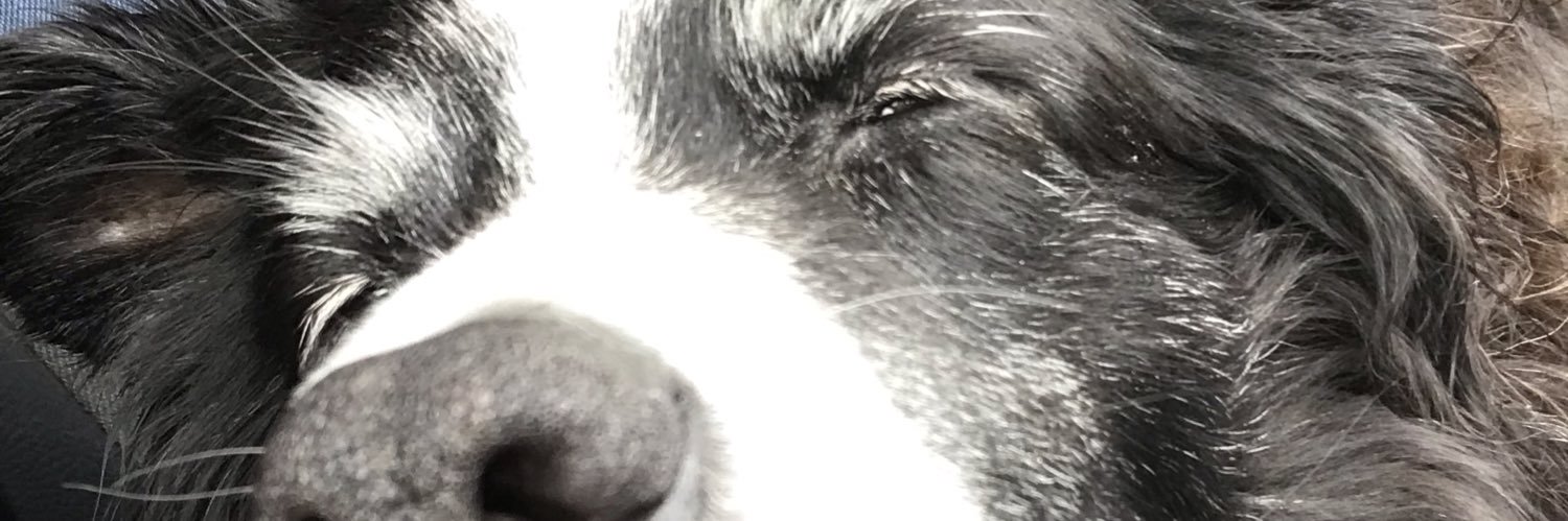 Knaperz's profile banner image