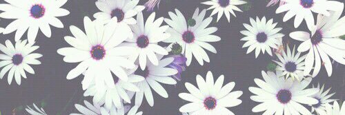 Jaayyydenn's profile banner image