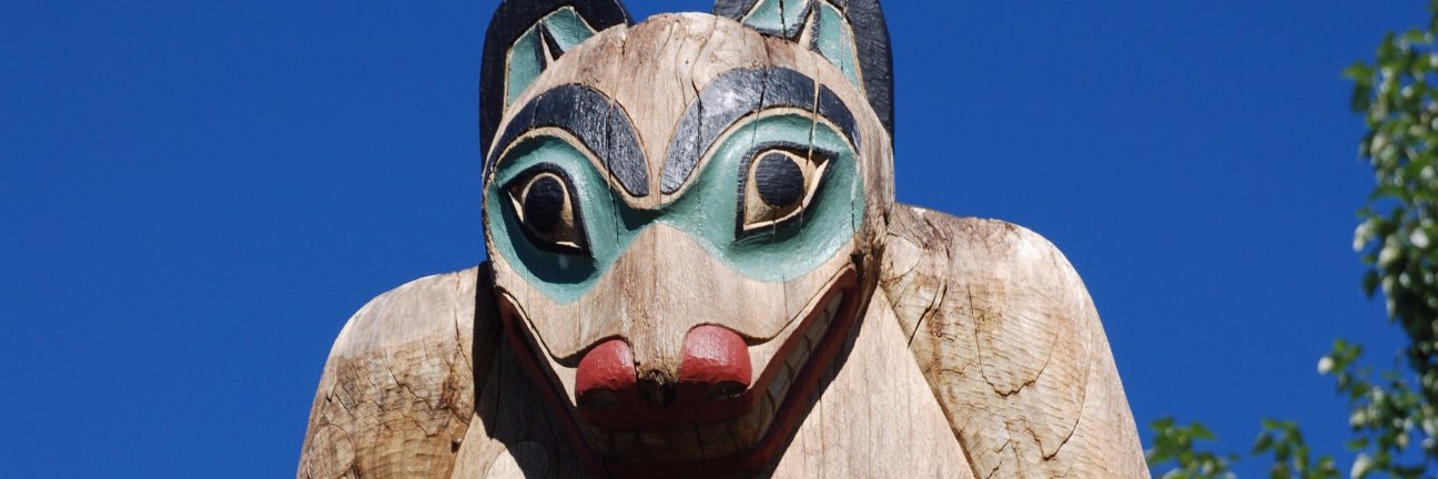 Nekanuq's profile banner image
