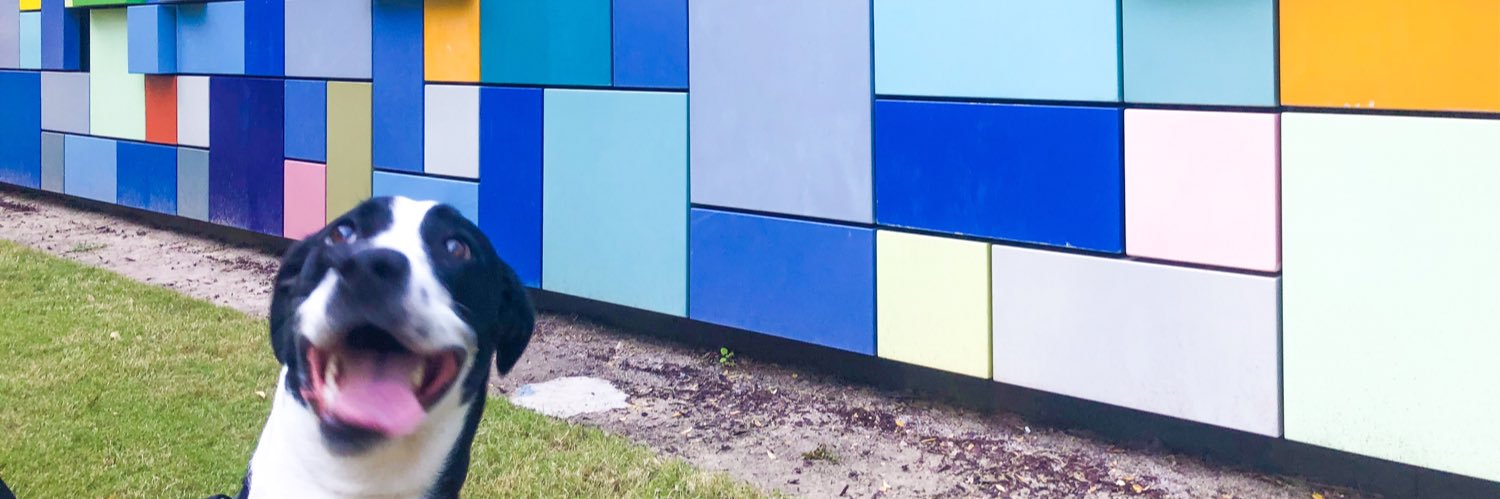 carleesi_'s profile banner image