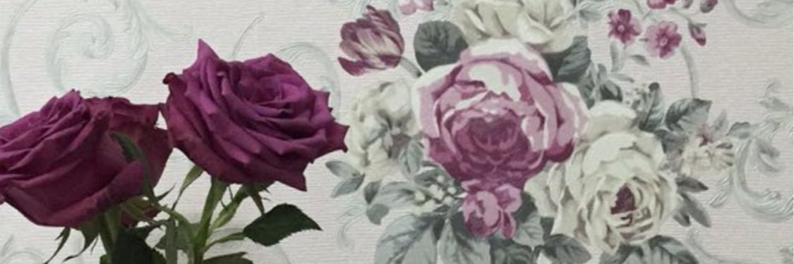 731428's profile banner image