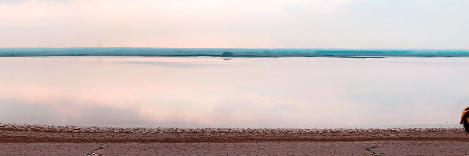 fatimahalgarny1's profile banner image