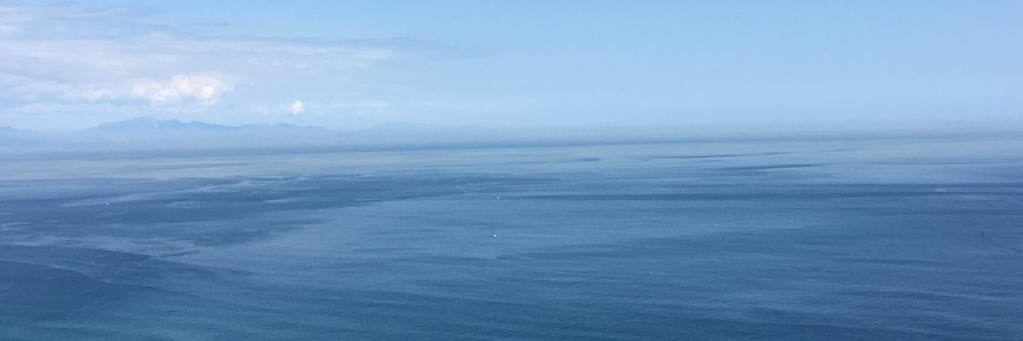 natipecoraro's profile banner image