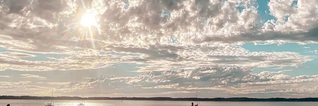 vsheryllia's profile banner image