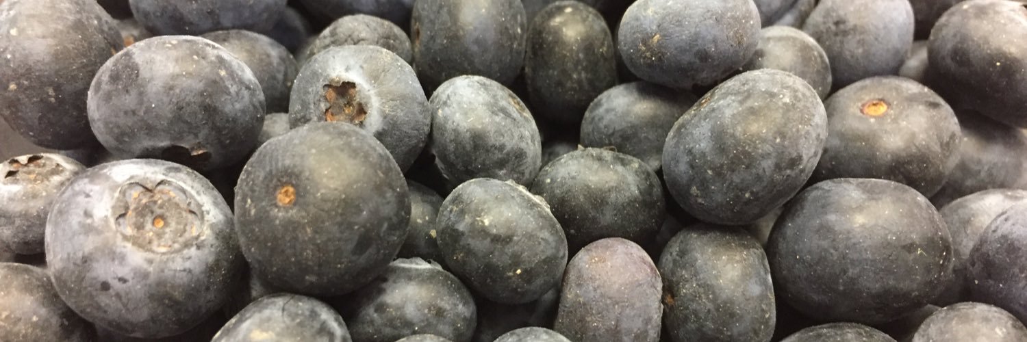 Susan McCallum banner