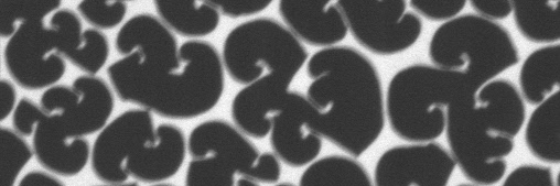 Bob-Dan Lechner banner