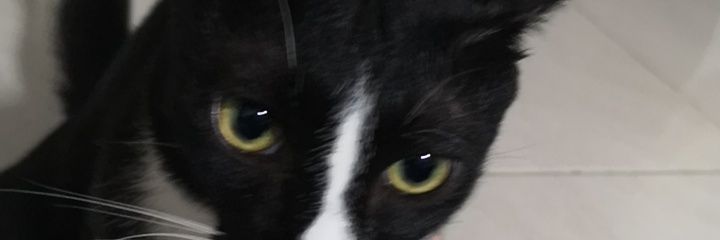 Jee_Min_Thai's profile banner image