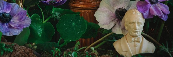 STOKPERD banner