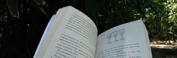 다크 인돈 ⚫️ banner