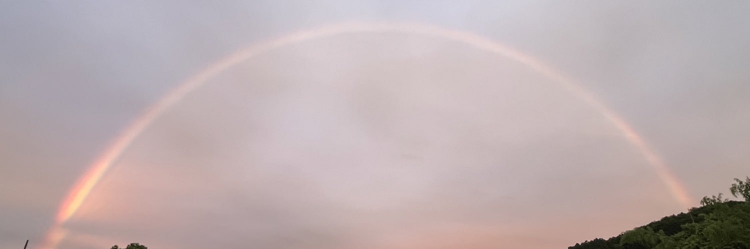forallcat's profile banner image
