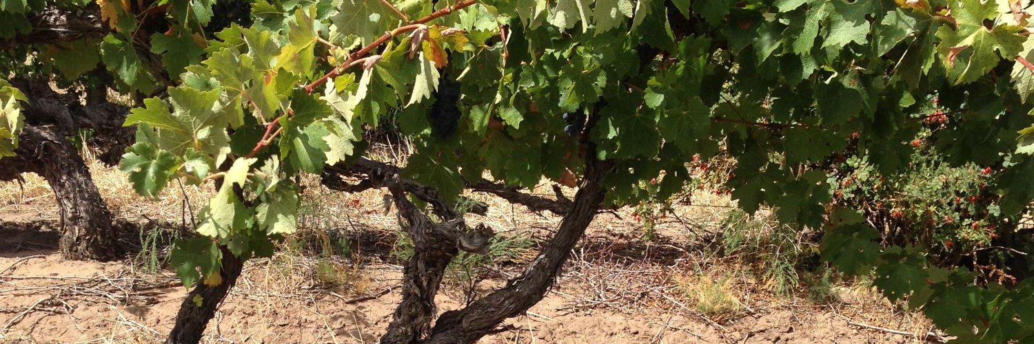 Nick Haselgrove Wines banner