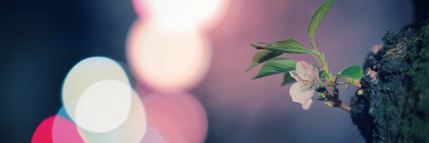 _monorei's profile banner image