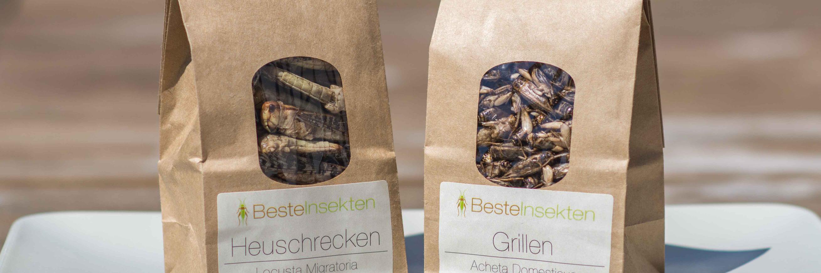 BesteInsekten's profile banner image