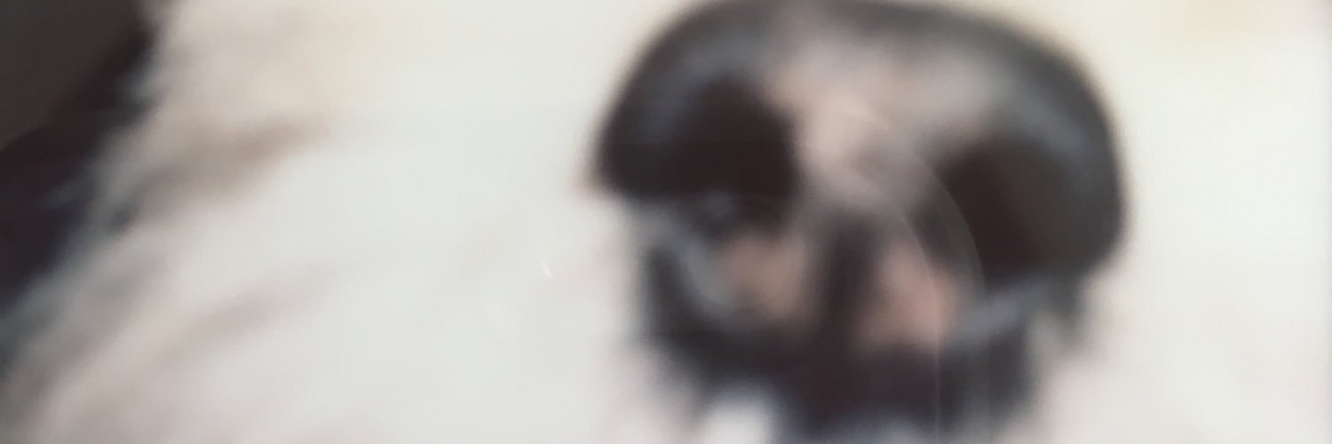 Reneew252's profile banner image