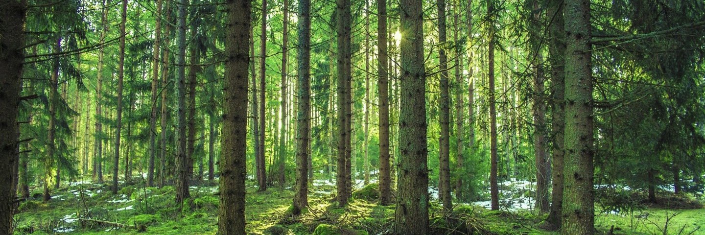 🐾💙Christine💙🐾 banner