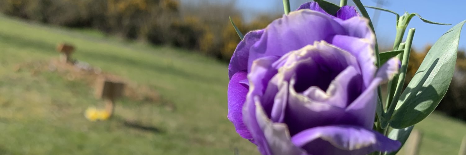 Faye034's profile banner image