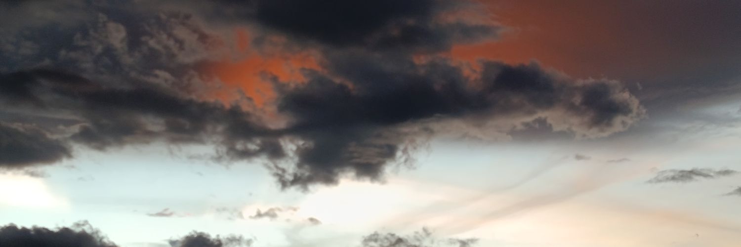 deivid banner