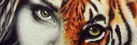 Sandra Bonilla banner