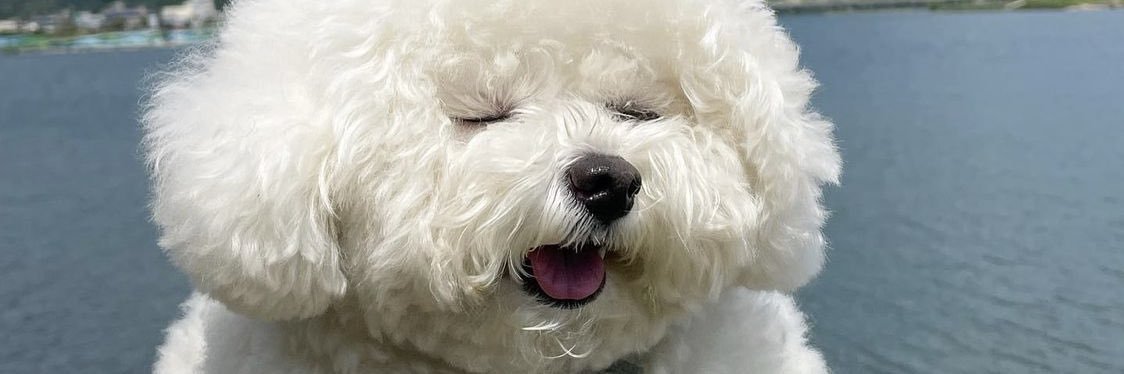 __ShellieMay___'s profile banner image