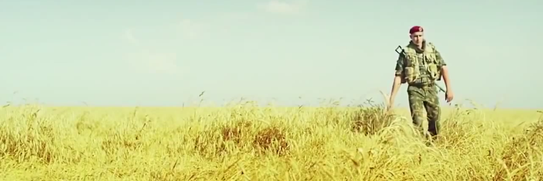 stabilizec's profile banner image