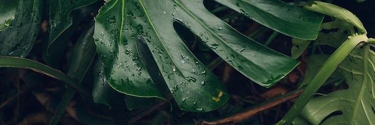 iam_pras's profile banner image