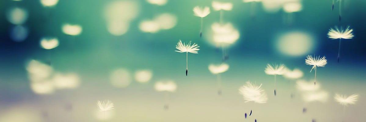 kat_magicarpio's profile banner image