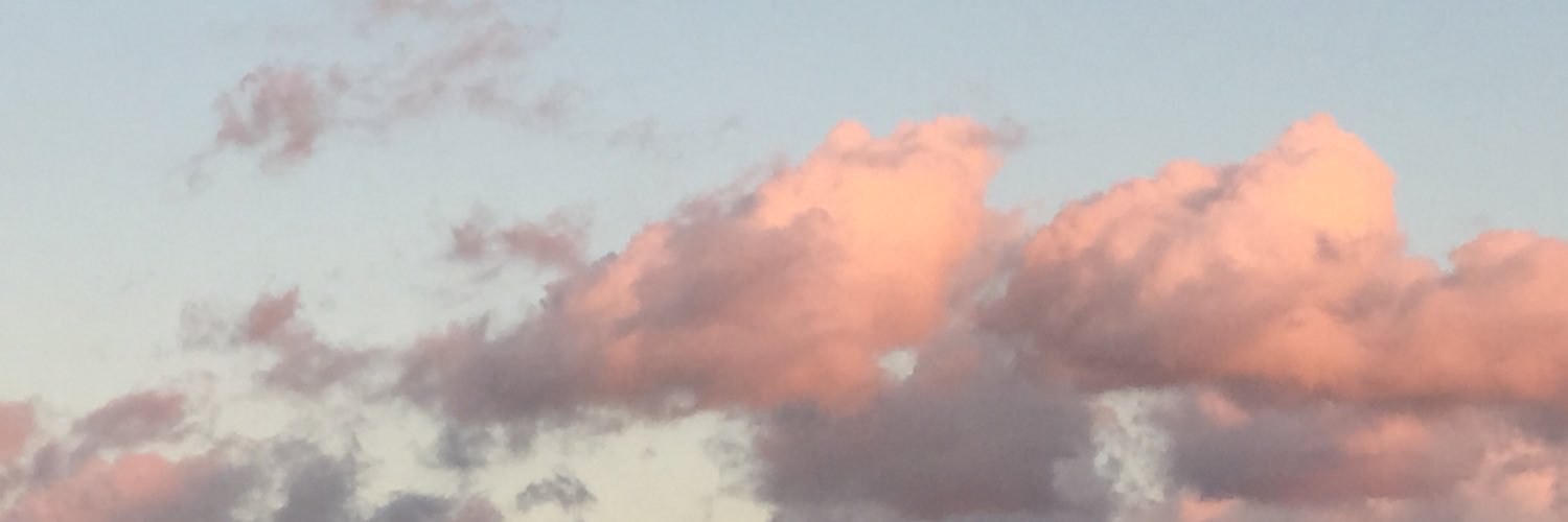 sgsgRNN's profile banner image