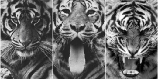 FemkeStam's profile banner image