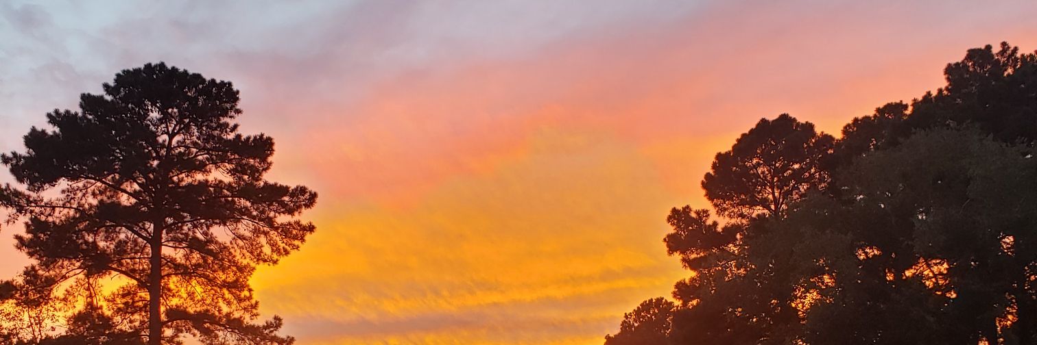 morrowjim's profile banner image