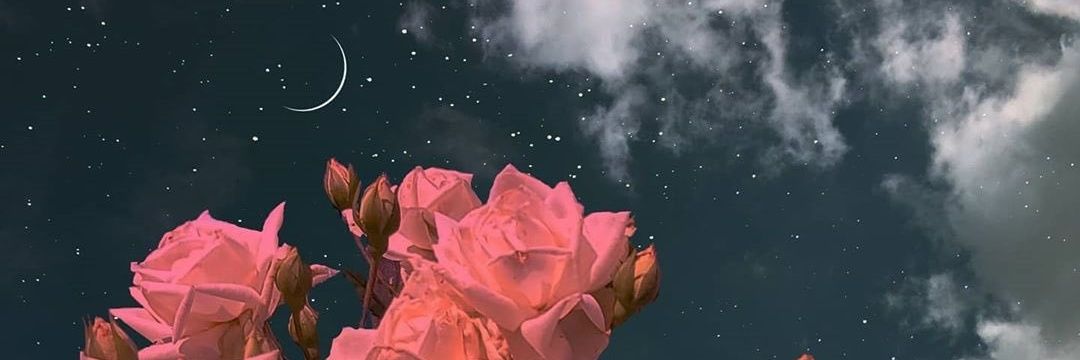 Flore_Arguello's profile banner image