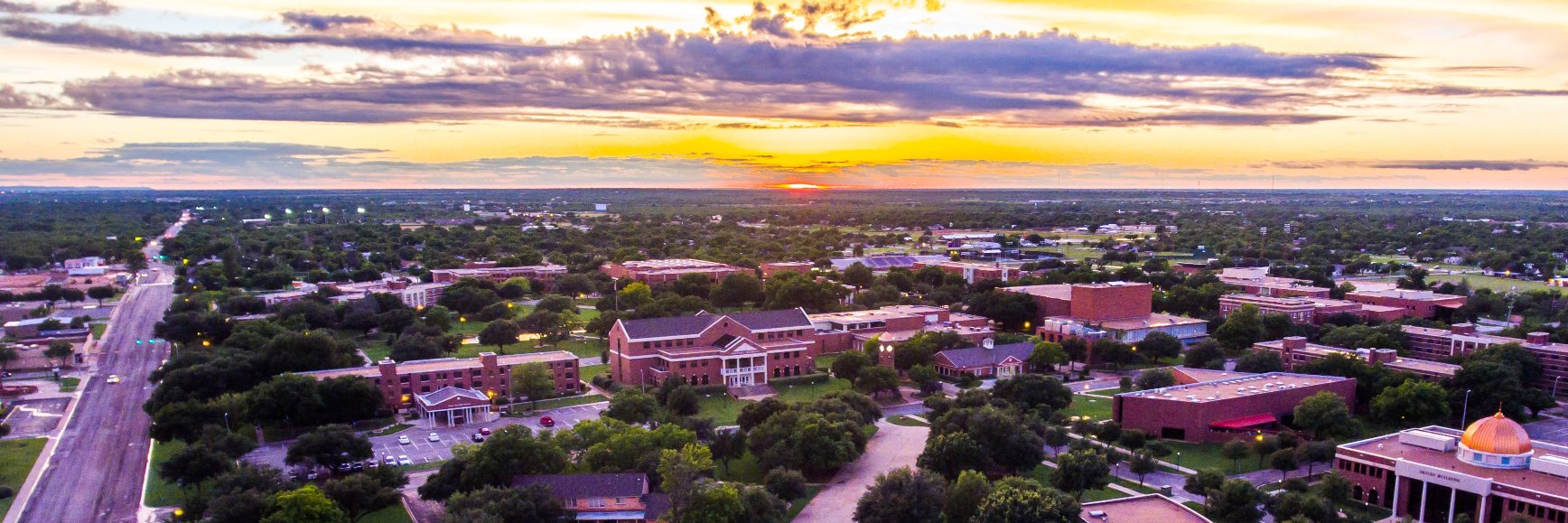 Kendra Whitehead banner