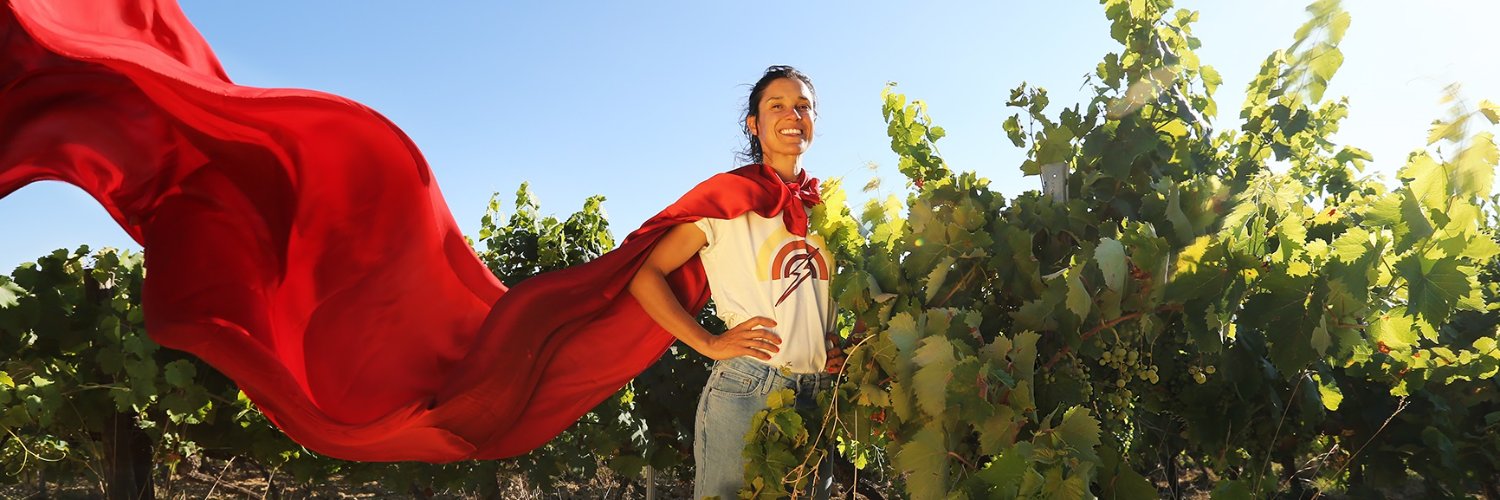 Vignerons Indépendants de France banner