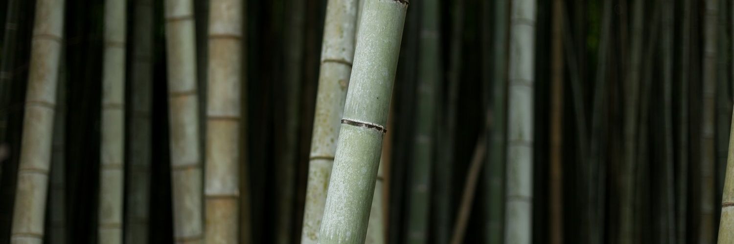 gmoxyz's profile banner image