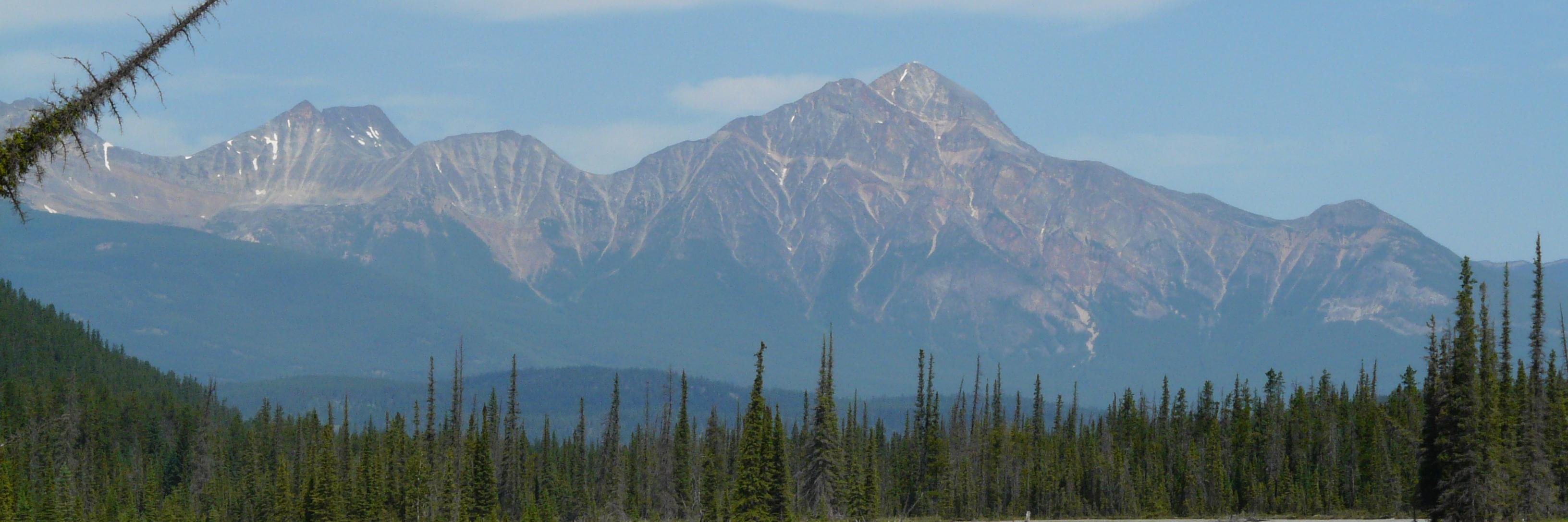 wimparko's profile banner image