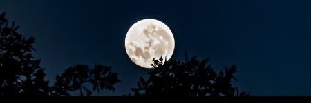 Mohamedasm76's profile banner image