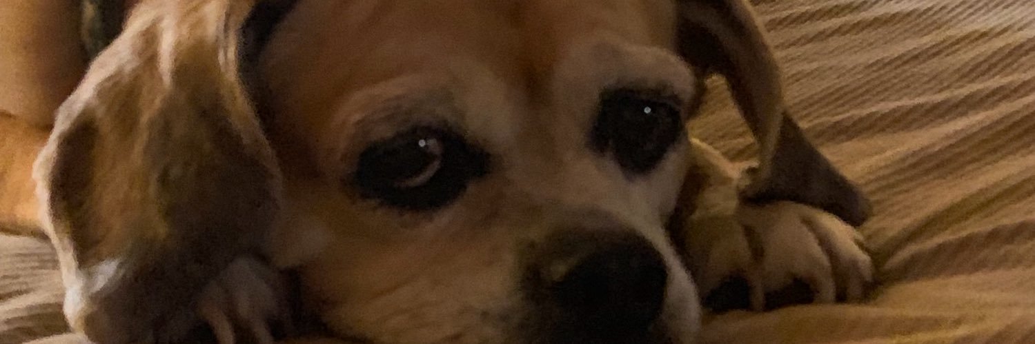 SparkyHam's profile banner image