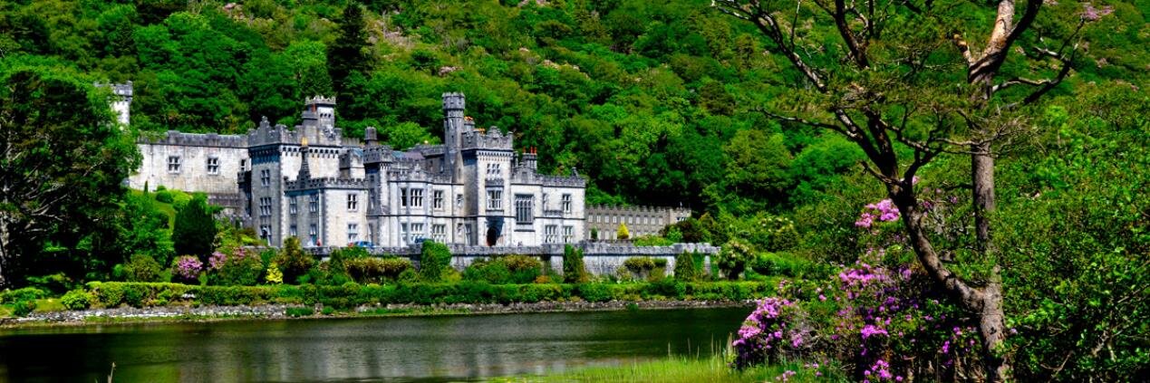 Randy Blacketer banner