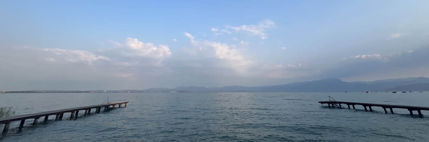 Rick van Meel banner