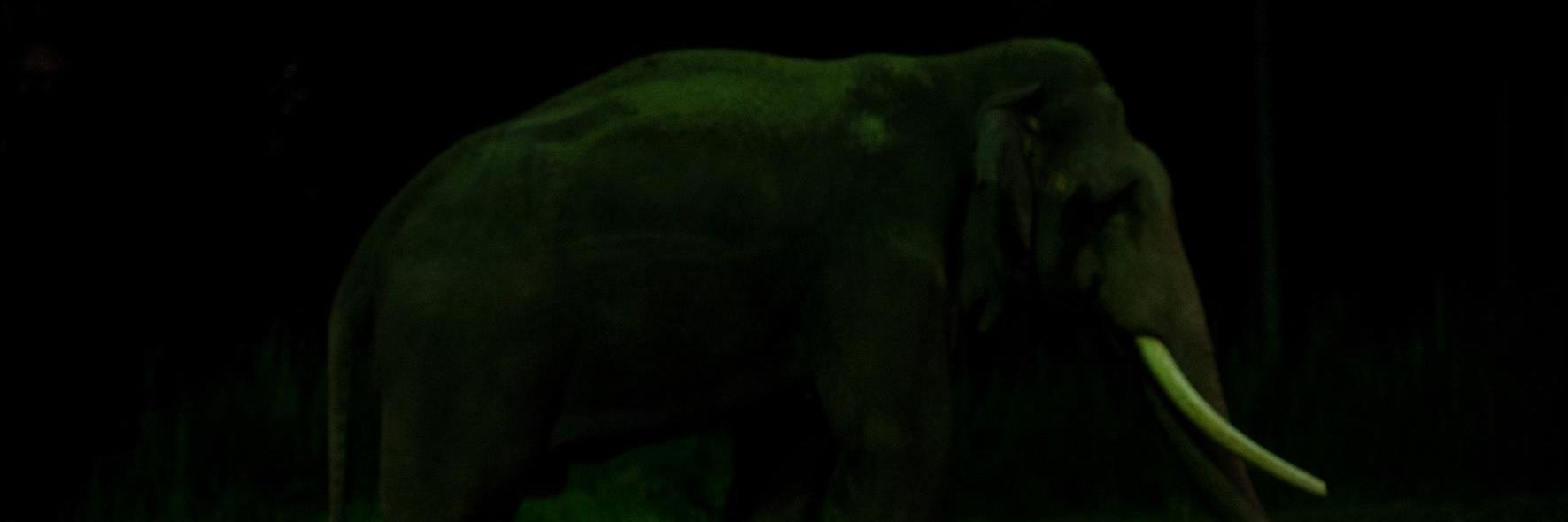 Mindpirates's profile banner image