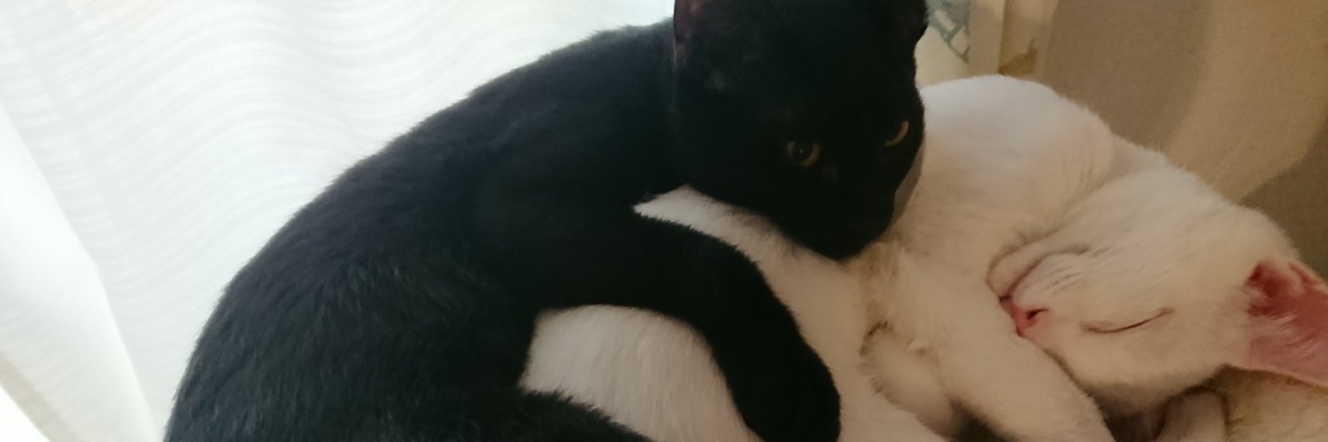 てぃーびー banner