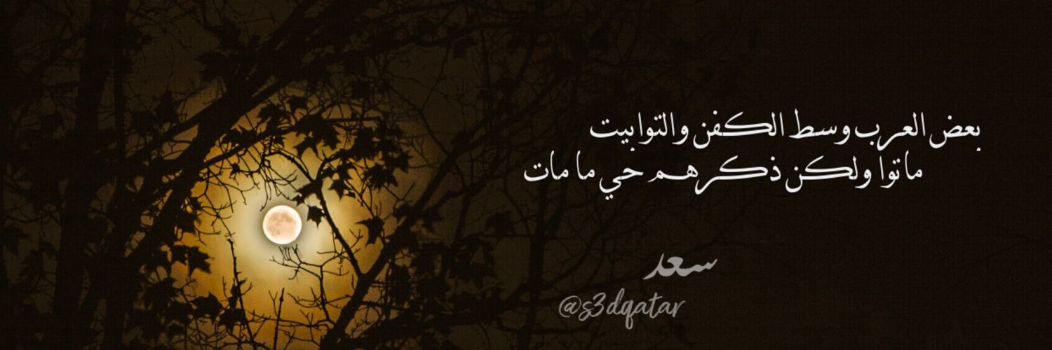 s3dqatar's profile banner image