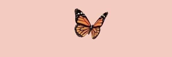_kaylyn_r's profile banner image