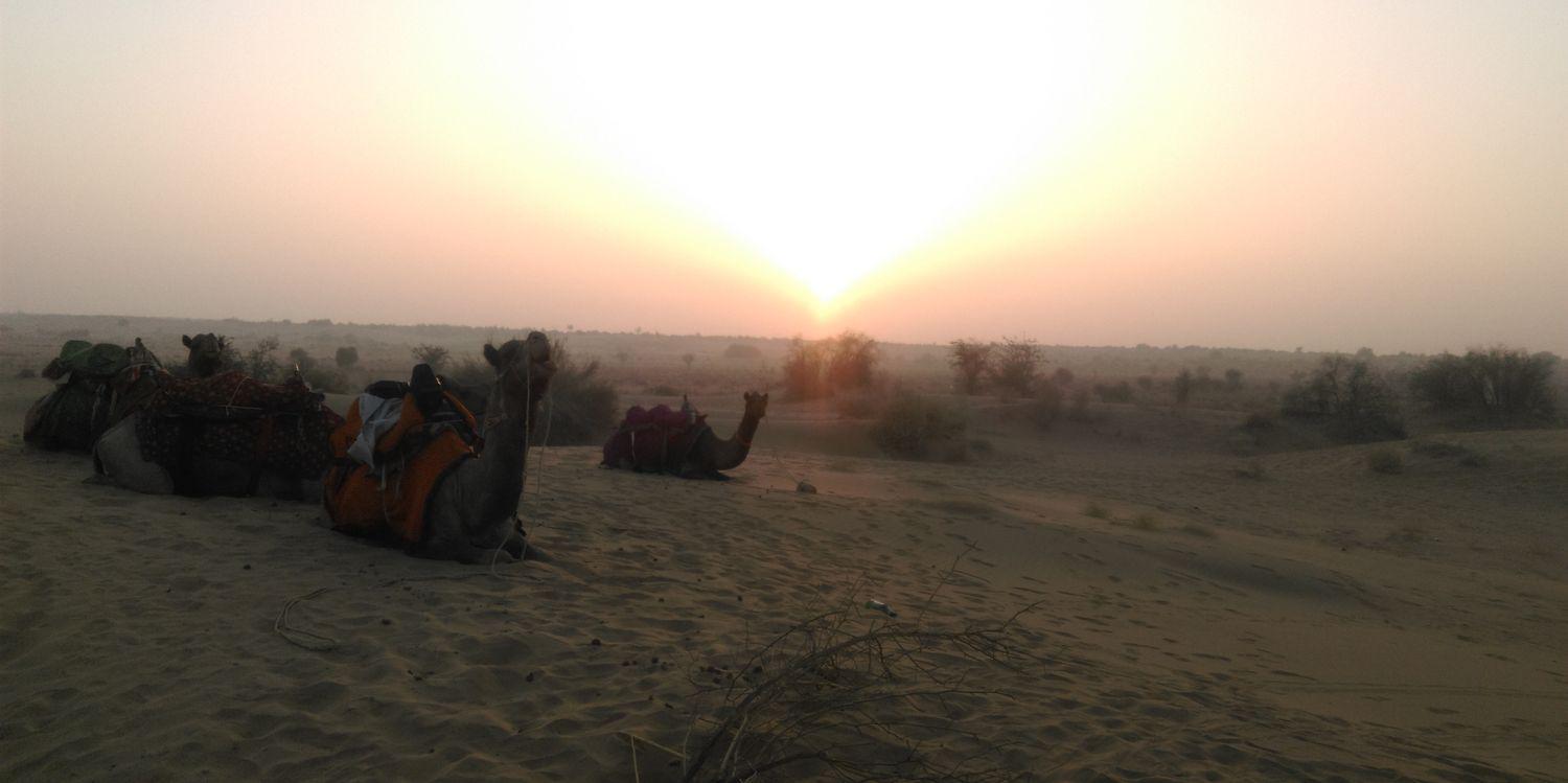 PatelJemin's profile banner image